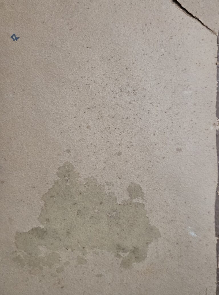 20250519_173702