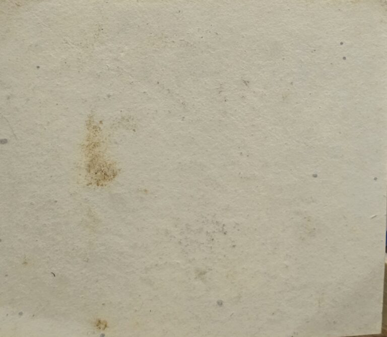 20250526_181004